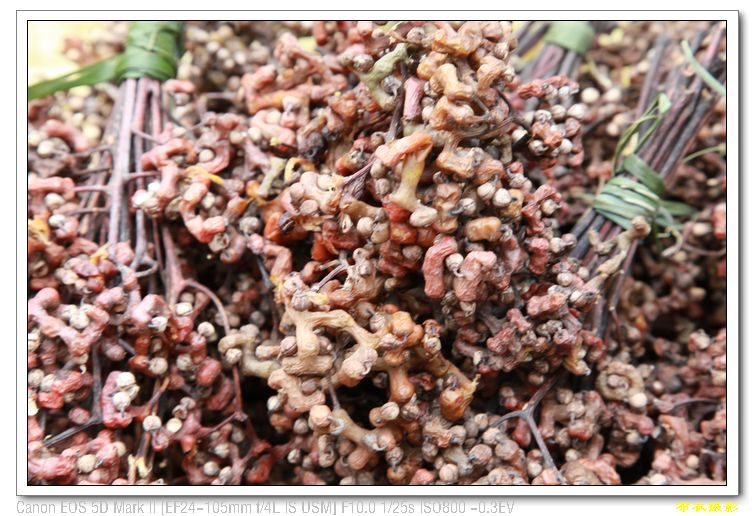 nEO_IMG_��Ƭ 335.jpg