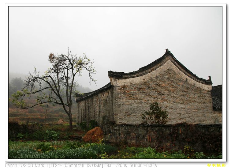 nEO_IMG_��Ƭ 591.jpg