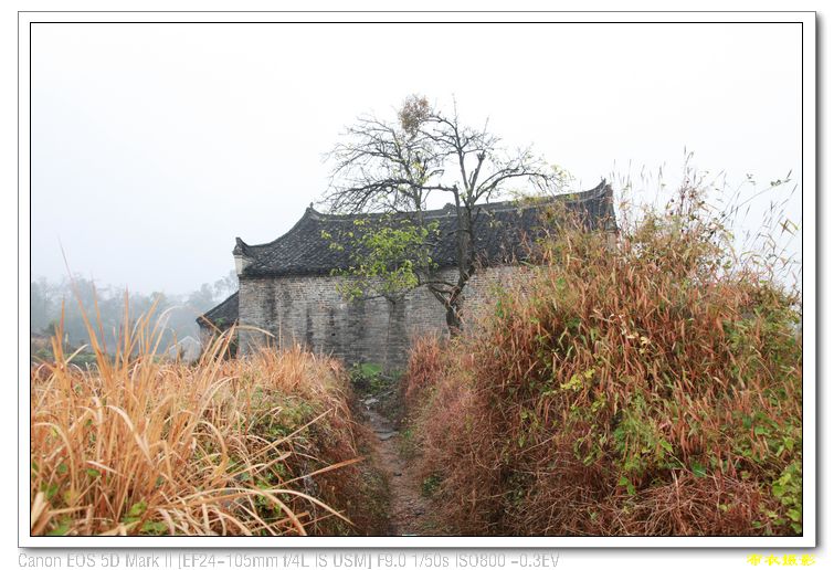 nEO_IMG_��Ƭ 593.jpg