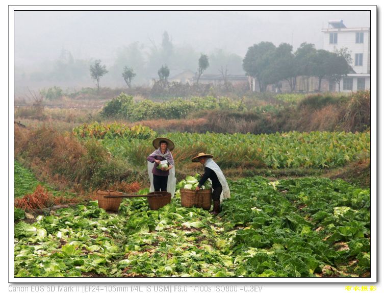 nEO_IMG_��Ƭ 617.jpg