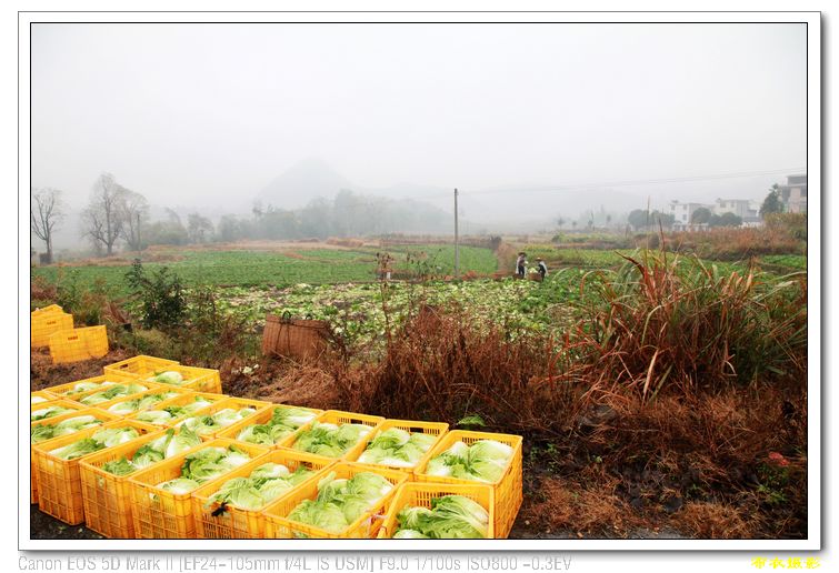 nEO_IMG_��Ƭ 616.jpg