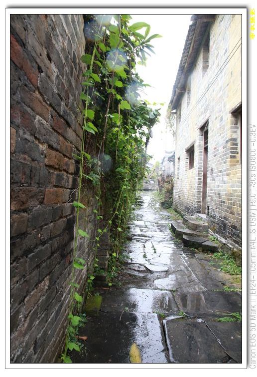 nEO_IMG_��Ƭ 631.jpg