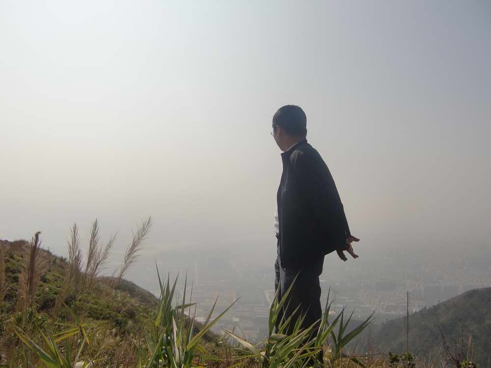 һ˵СһҹۣʵĿֻϰƬɽˣ