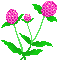 flower (14).gif