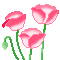 flower (34).gif
