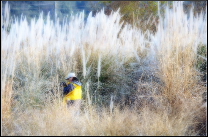 ��ɽʯ��ɽ 118_������С.jpg