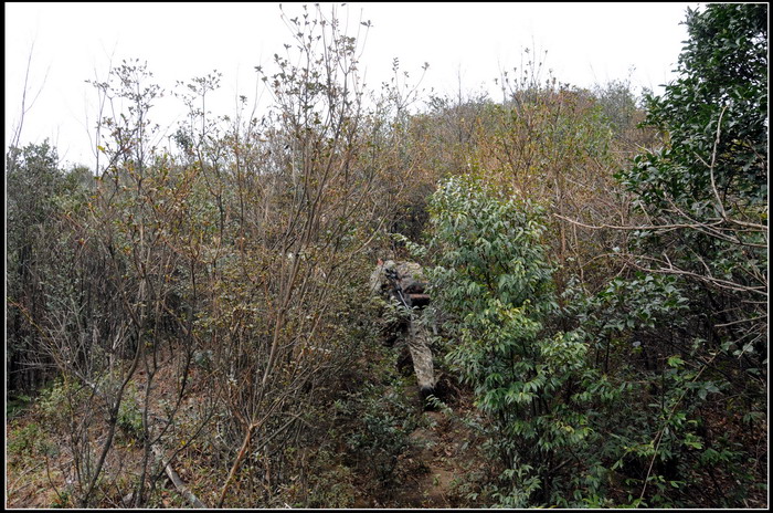 ��ɽʯ��ɽ 213_������С.jpg