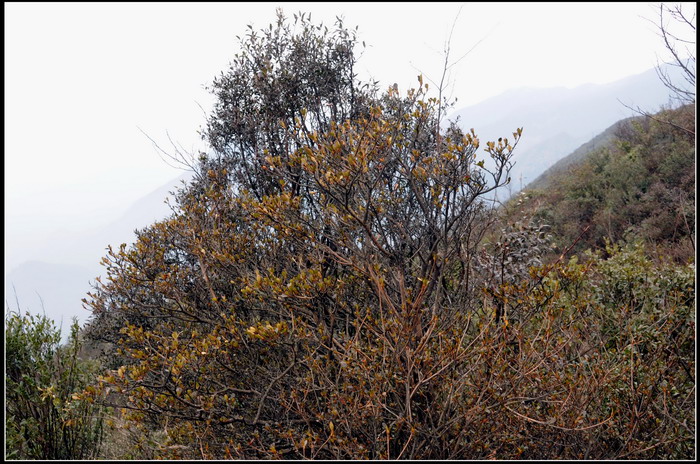 ��ɽʯ��ɽ 217_������С.jpg