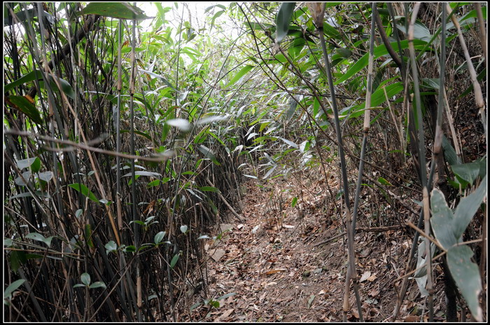 ��ɽʯ��ɽ 236_������С.jpg