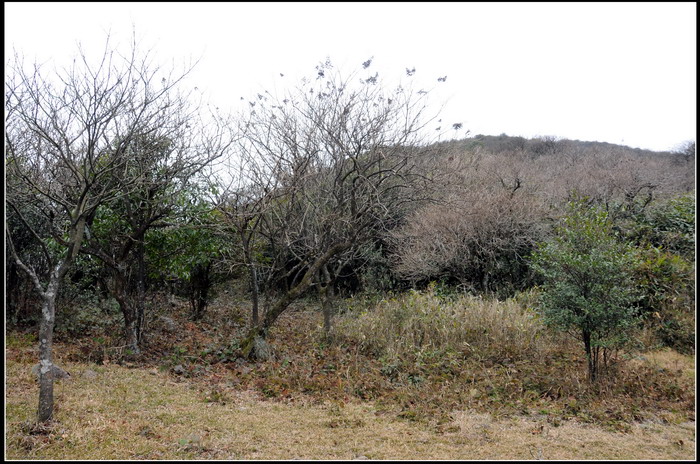 ��ɽʯ��ɽ 230_������С.jpg