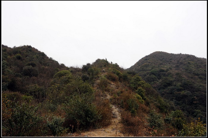 ��ɽʯ��ɽ 216_������С.jpg