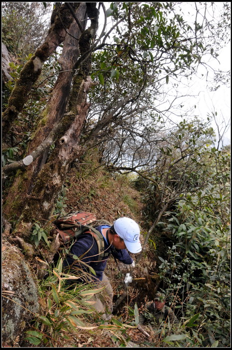 ��ɽʯ��ɽ 254_������С.jpg