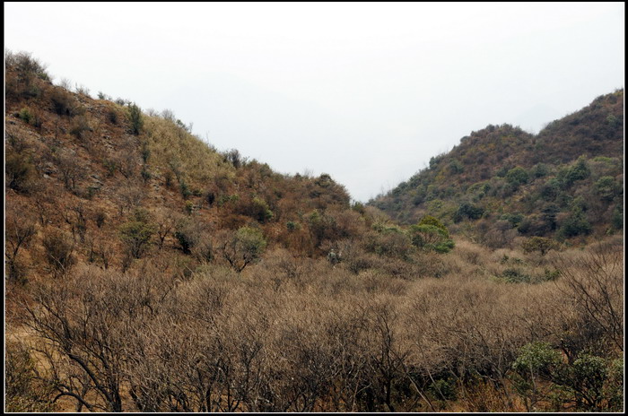 ��ɽʯ��ɽ 345_������С.jpg