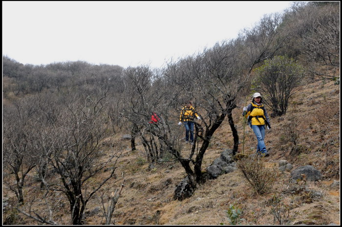 ��ɽʯ��ɽ 351_������С.jpg