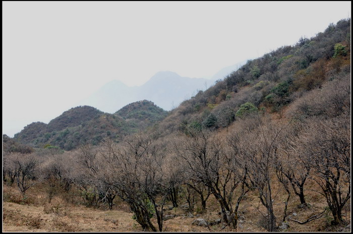 ��ɽʯ��ɽ 346_������С.jpg