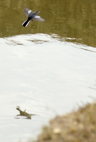 ������С _DSC2436.JPG