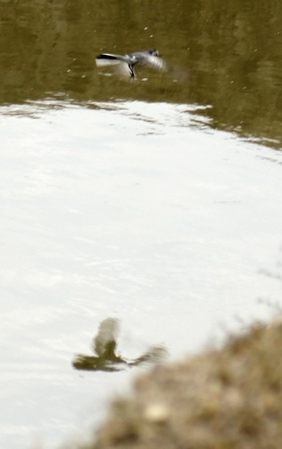 ������С _DSC2437.JPG