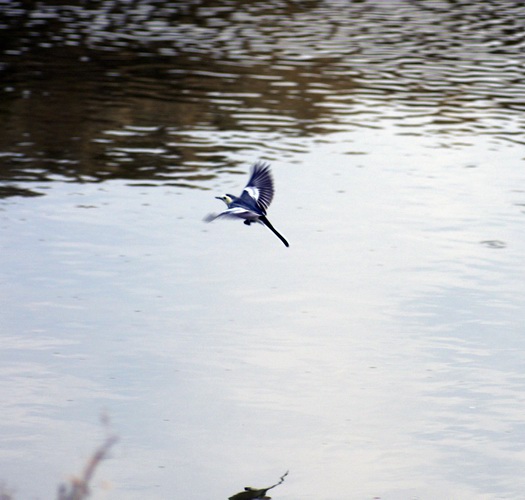 ������С _DSC2426.JPG