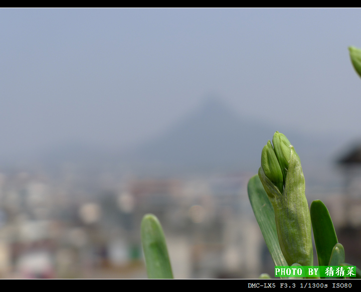 ��������ʱ