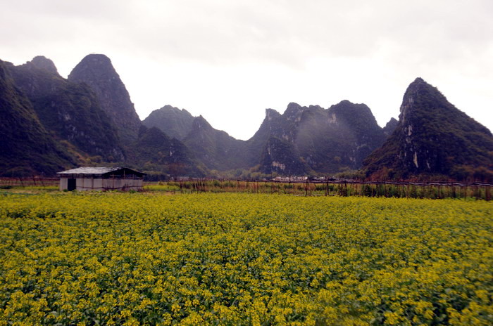 ��Ƭ 082_������С.jpg