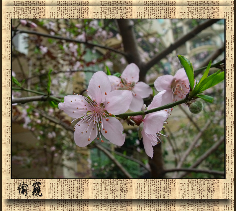 ͵�� 1_����.jpg