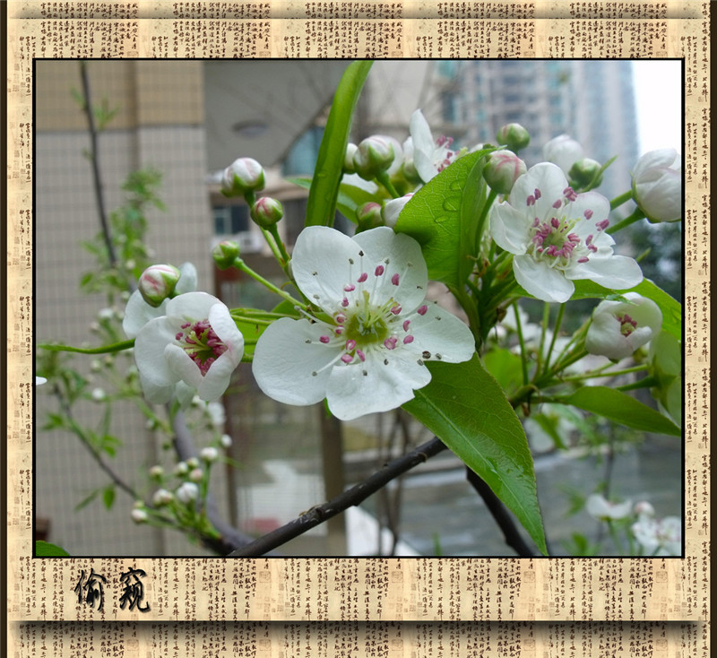 ͵�� 5_����.jpg